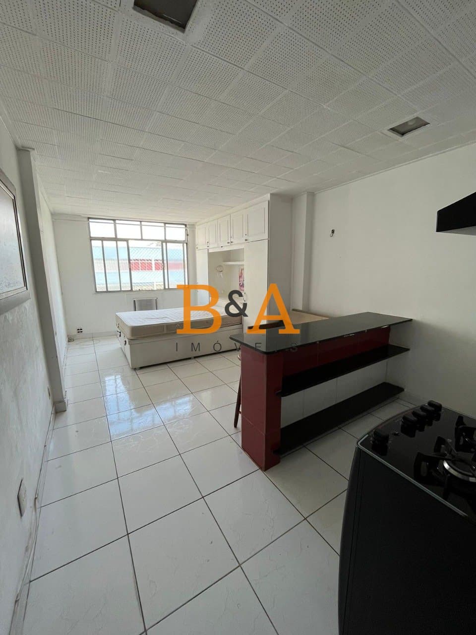Imagem da propriedade 1120019 4